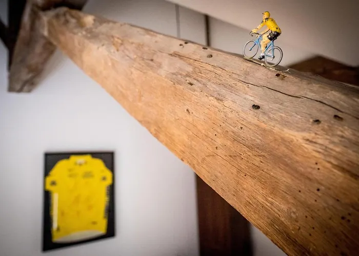 La Bicicleta Ravito Oda ve Kahvaltı Souillac