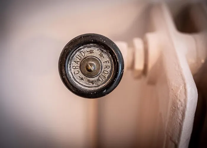 La Bicicleta Ravito Oda ve Kahvaltı